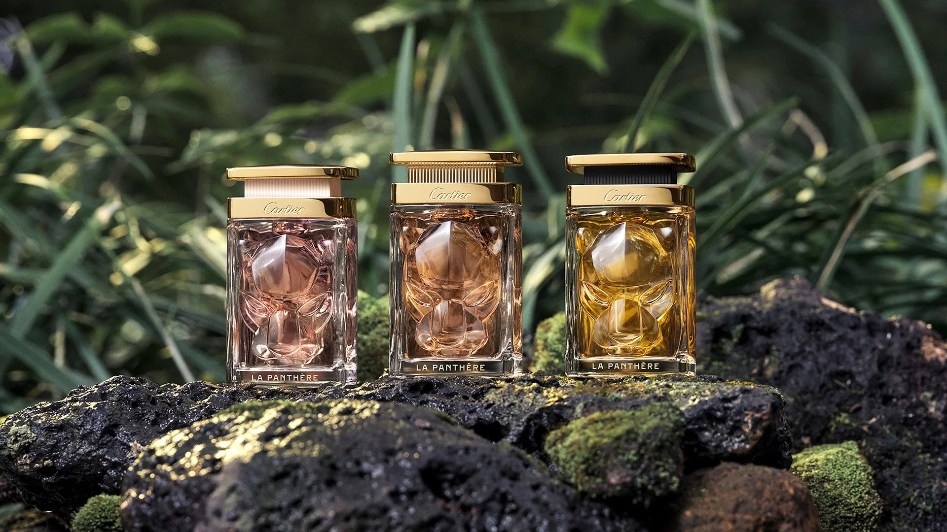 LA PANTHÈRE卡地亚猎豹女士香水新装面世— Amazedaily